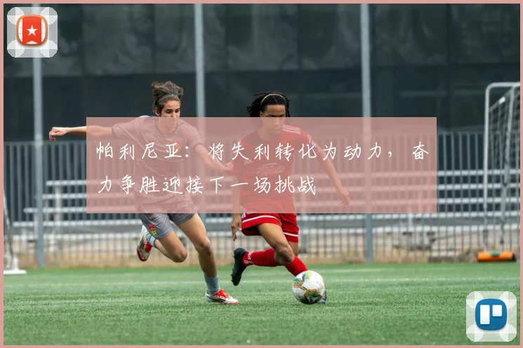 帕利尼亚：将失利转化为动力，奋力争胜迎接下一场挑战