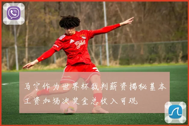 马宁作为世界杯裁判薪资揭秘基本工资加场次奖金总收入可观