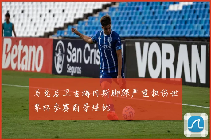 马竞后卫吉梅内斯脚踝严重扭伤世界杯参赛前景堪忧