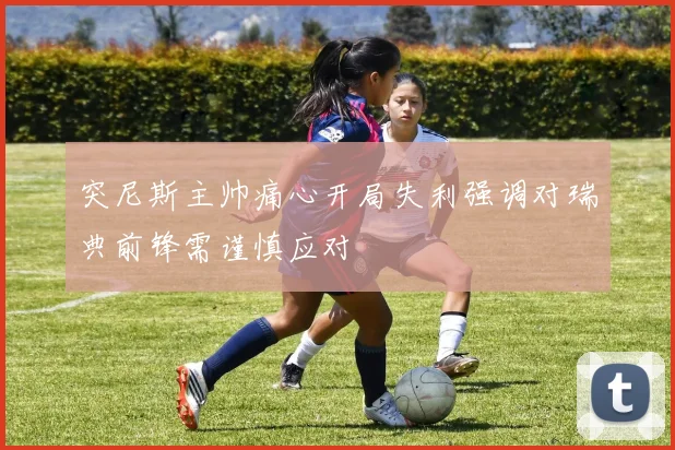 突尼斯主帅痛心开局失利强调对瑞典前锋需谨慎应对