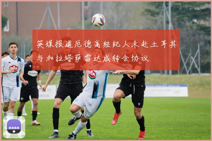 英媒报道厄德高经纪人未赴土耳其与加拉塔萨雷达成转会协议