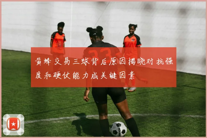 黄蜂交易三球背后原因揭晓对抗强度和硬仗能力成关键因素
